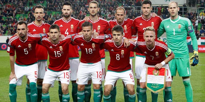 Kèo tài xỉu thẻ phạt hungary vs thụy sĩ