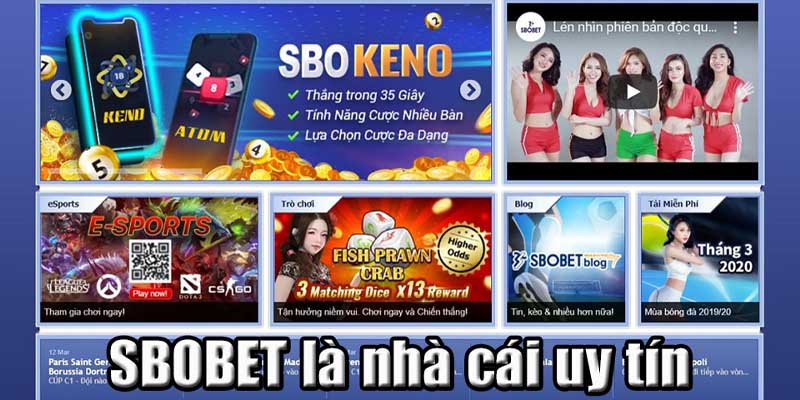 Thông tin cơ bản về sbobet m88