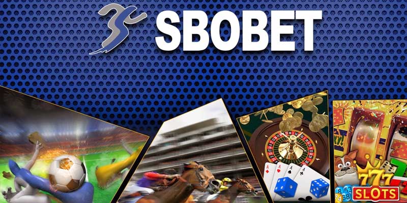 Giao diện của sbobet m88 được xây dựng vô cùng hoàn hảo